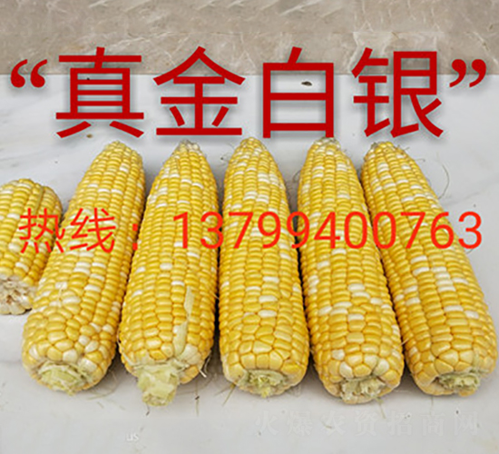 �����y-ˮ�����׷N��-ӳɽ��