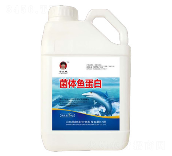 ���w�~����-ʩ���S