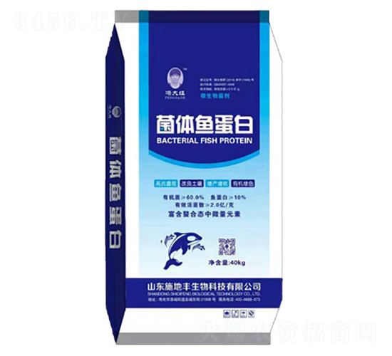 ���w�~���ף��{����-ʩ���S