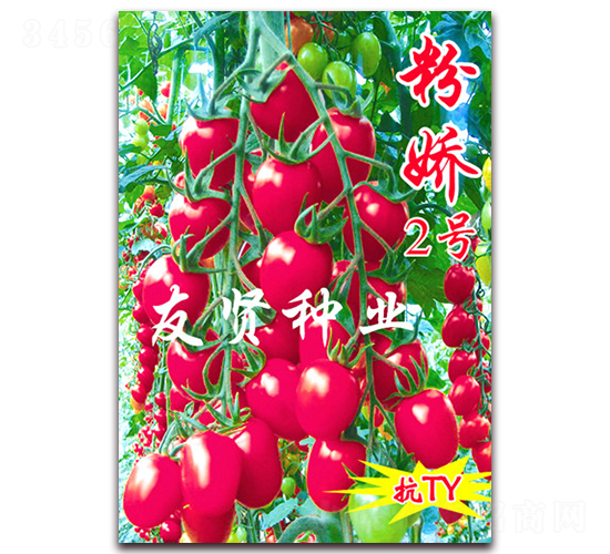 �ۋ�2̖-��TY��������С���ѷN��-���t�N�I(y��)