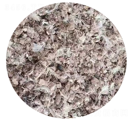 �w���g���S-�f�Z���r(n��ng)�I(y��)