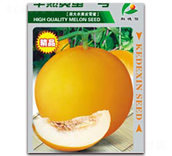 �����S��һ̖-��ϷN��-�Ƶ���