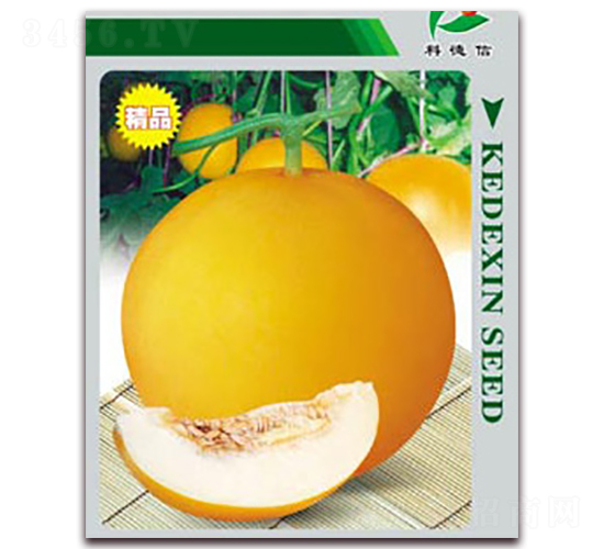 科德黃蜜一號(hào)-甜瓜種子-科德信