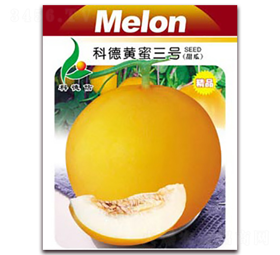 �Ƶ��S����̖-��ϷN��-�Ƶ���