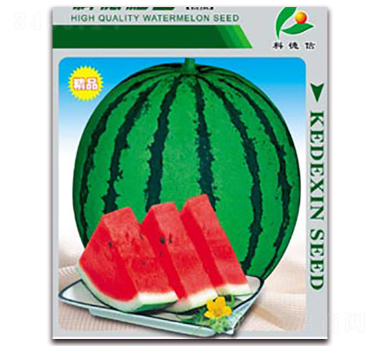 �Ƶ¸���-���ϷN��-�Ƶ���