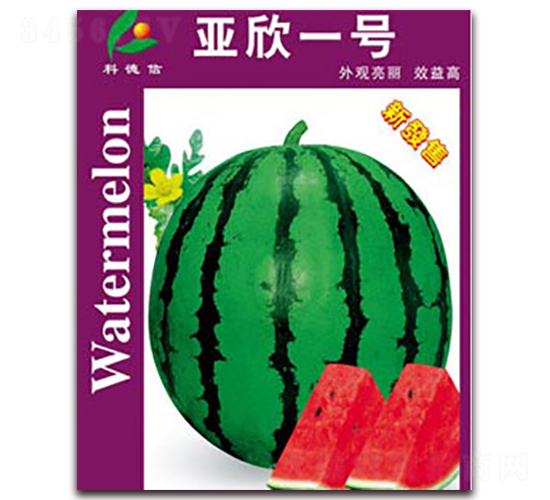 ����һ̖-���ϷN��-�Ƶ���