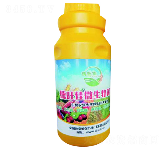 ������΢�������-�ɟj�ʘI(y��)