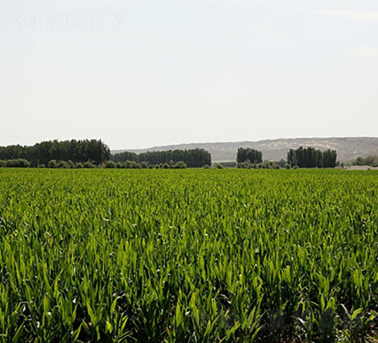 ƽ��1608-ƽ���N�I(y��)