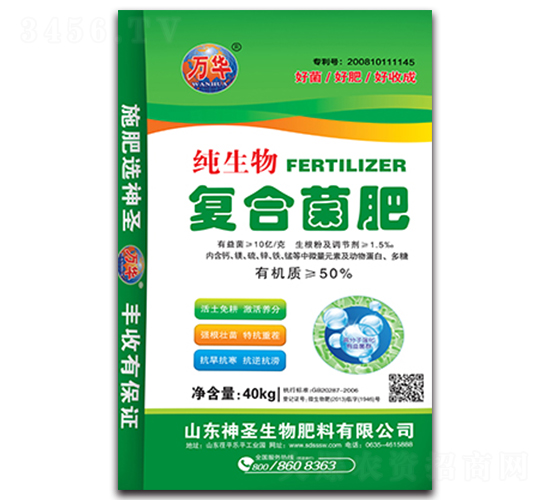 �ͺϾ���-��ʥ����