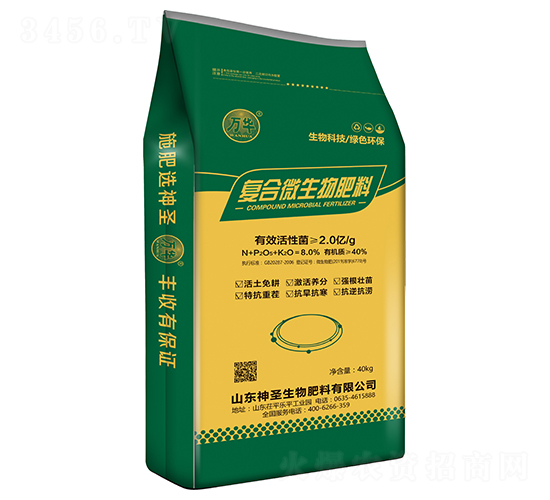 �������(f��)�Ͼ���-�������S-��ʥ����