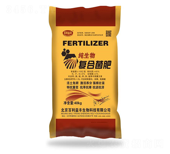 10�|���������(f��)�Ͼ���-�������S-��ʥ����