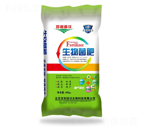 �������-��������-��ʥ����