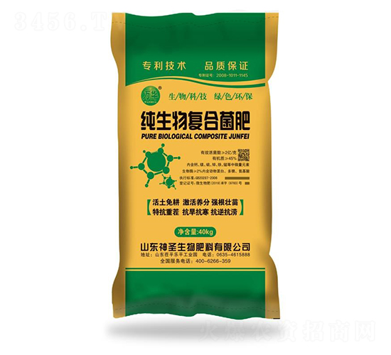 ������ͺϾ���-��ʥ����