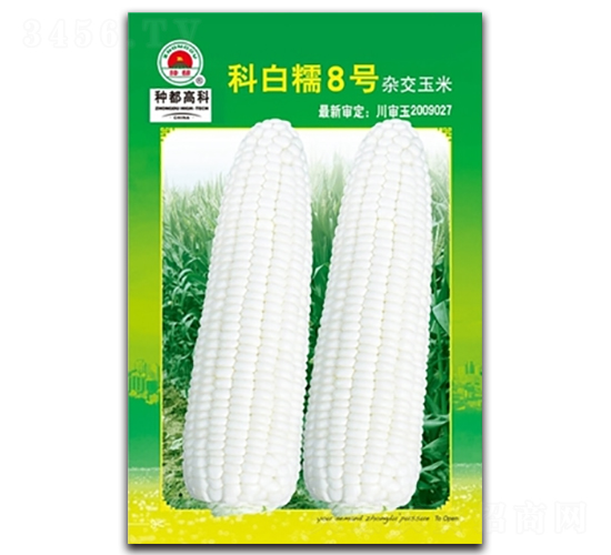 �ư�Ŵ8̖��2��-���׷N��-�߿ƷN�I(y��)