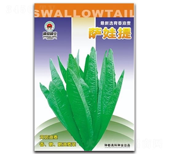 �_����-�����˷N��-�߿ƷN�I(y��)