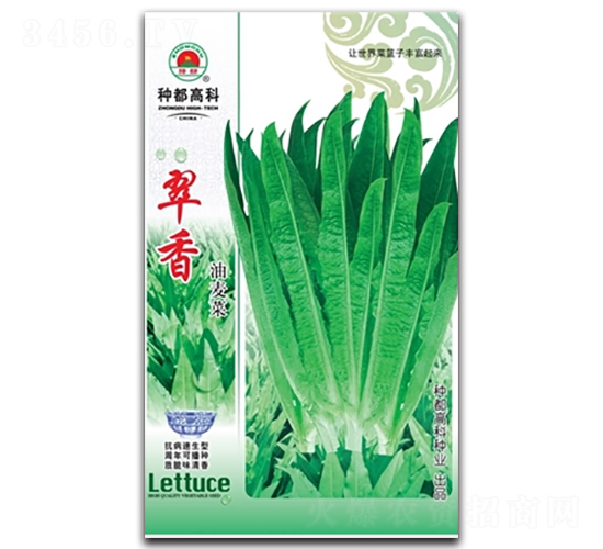 ����-�����˷N��-�߿ƷN�I(y��)