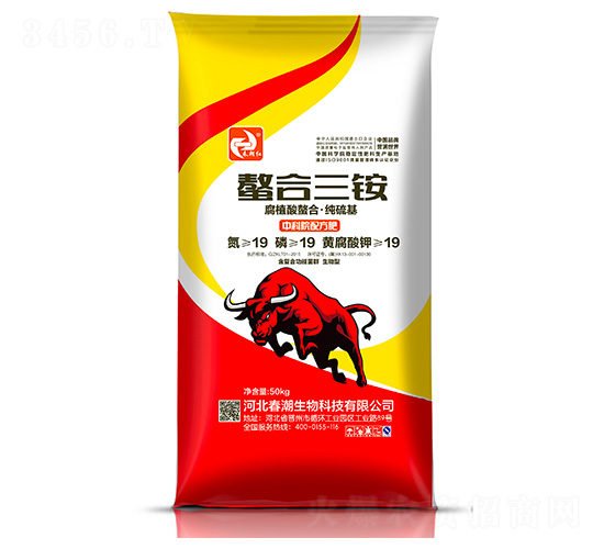 �������@19-19-19-�����t