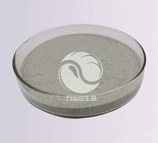 20億水溶綠色木霉-萬(wàn)福園生物