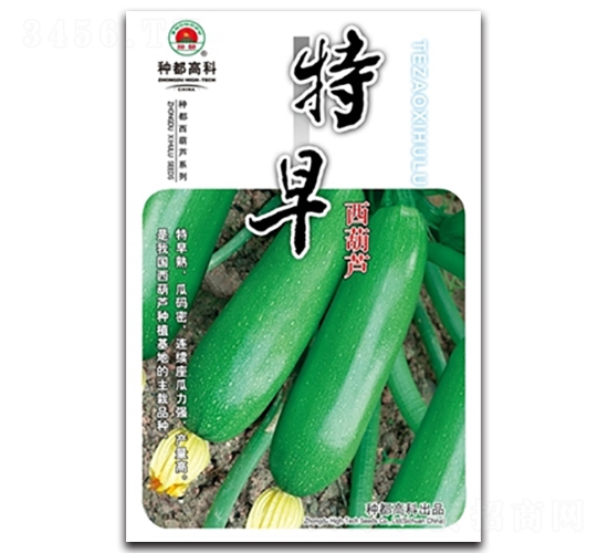 ���������J-�����J�N��-�߿ƷN�I(y��)