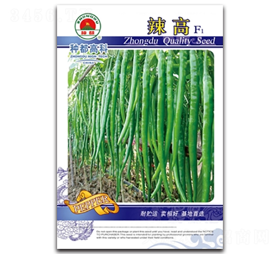 ����-�����N��-�߿ƷN�I(y��)