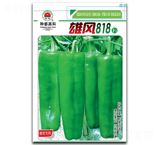 雄風(fēng)818-辣椒種子-高科種業(yè)
