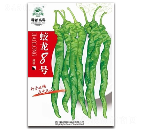 ����8̖(h��o)-�����N��-�߿ƷN�I(y��)