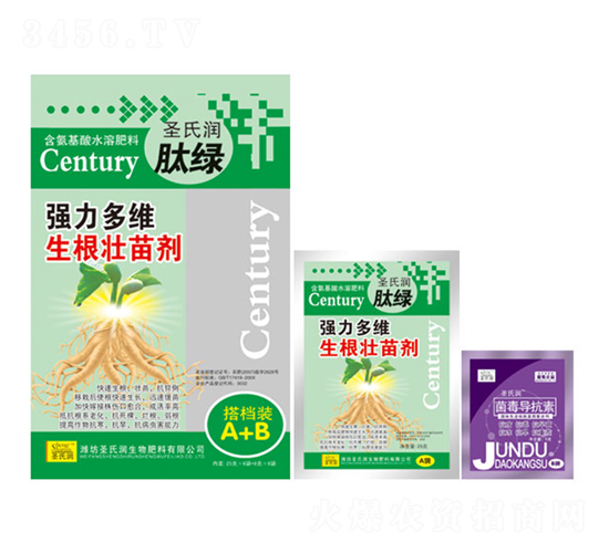 ��(qi��ng)����S�������焩����n�bA+B��-ʥ�ϝ�