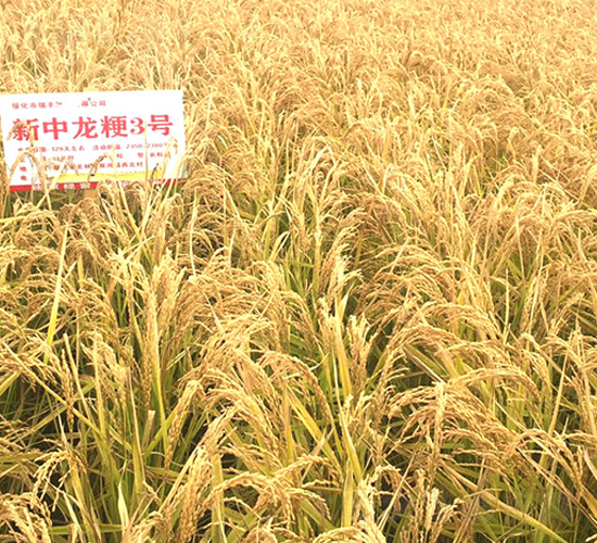 ��������3̖-С���N��-���S�N�I(y��)