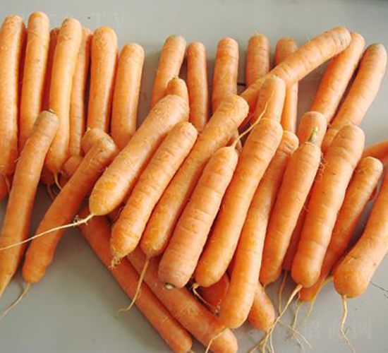 С����ʳ���}��-���}���N��-���\�N��