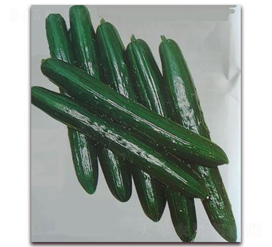 ����С�S��-�S�ϷN��-���\�N��