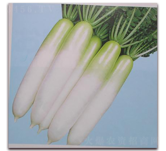 ���x�}��-�}���N��-���\(ch��ng)�N��