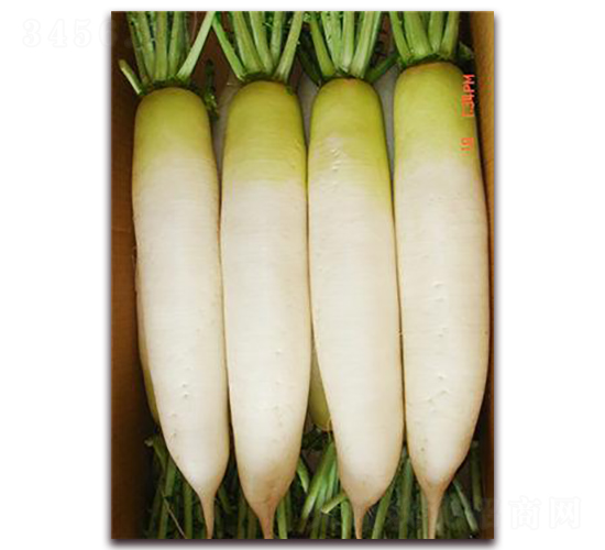 �����}��-�}���N��-���\(ch��ng)�N��