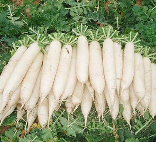 ���Ѱ��}��-�}���N��-���\(ch��ng)�N��