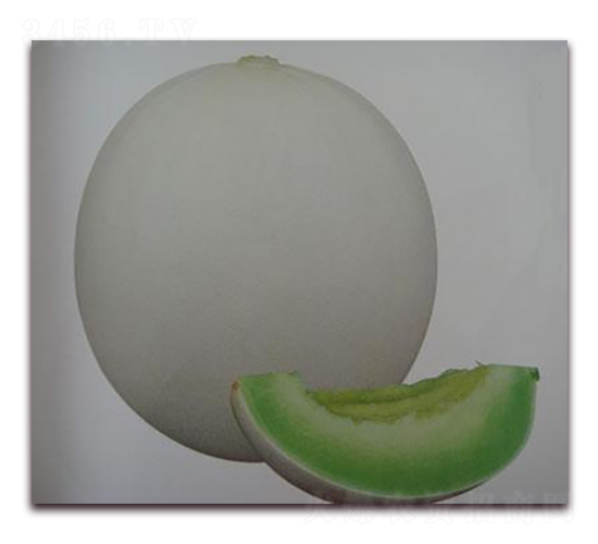 �G�x���-��ϷN��-���\�N��