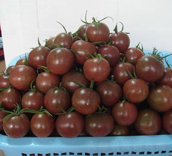 ����20С���ѣ������飩F1-���ѷN��-���\�N��