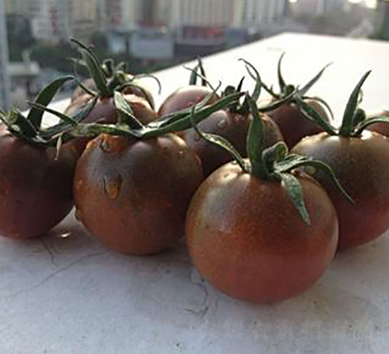 ����150����F1-���ѷN��-���\(ch��ng)�N��