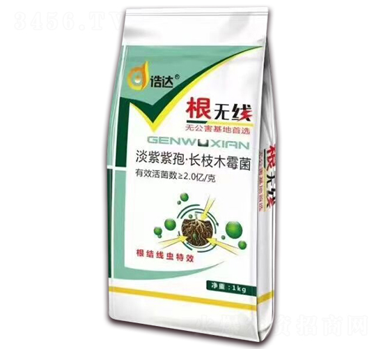 �������ߡ��L֦ľù��-���o��-���_����