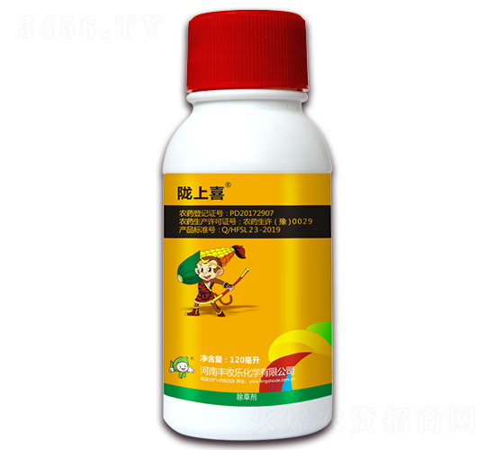 24%����ݬ����ȫ�ͣ�-�]��ϲ-�S�՘�