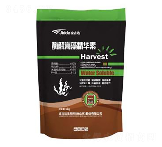 酶解海藻精華素-金吉達