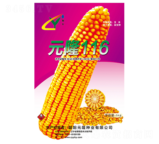 Ԫ¡116�N��-Ԫ¡�N�I(y��)