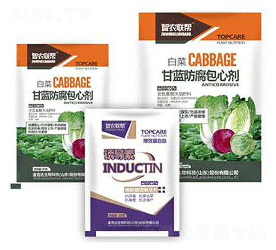 甘藍(lán)防腐包心劑-金吉達(dá)