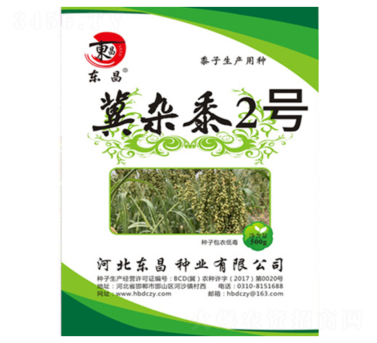 冀雜黍2號(hào)-東昌