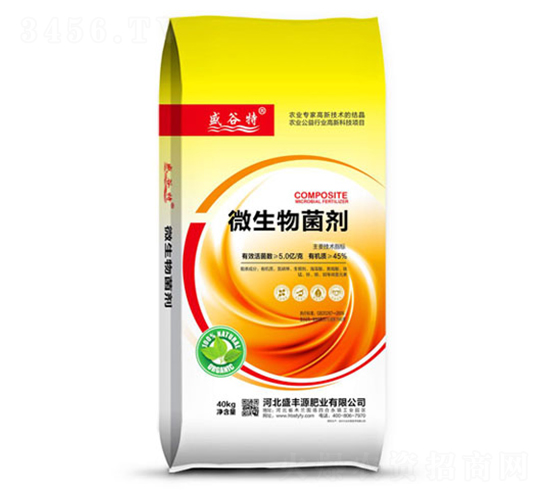 ΢�������-ʢ����-ʢ�SԴ