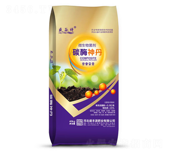 ̼ø��-ʢ����-ʢ�SԴ