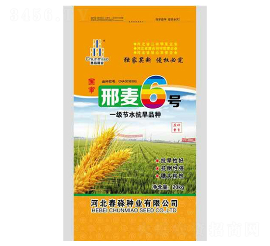 ����6̖(h��o)-�����N�I(y��)