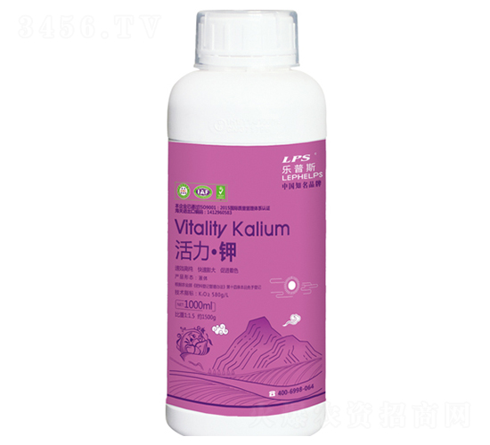 �������-�Θ��r(n��ng)�I(y��)