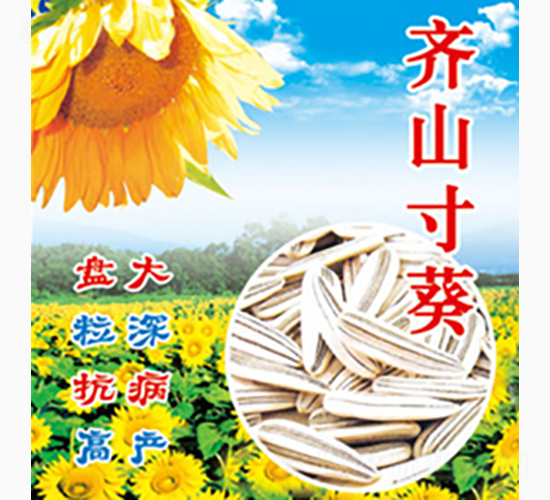 �Rɽ���-�Rɽ�N�I(y��)