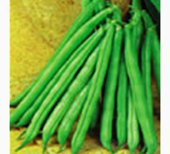 �����ϻ��Ͷ���-�Rɽ�N�I(y��)