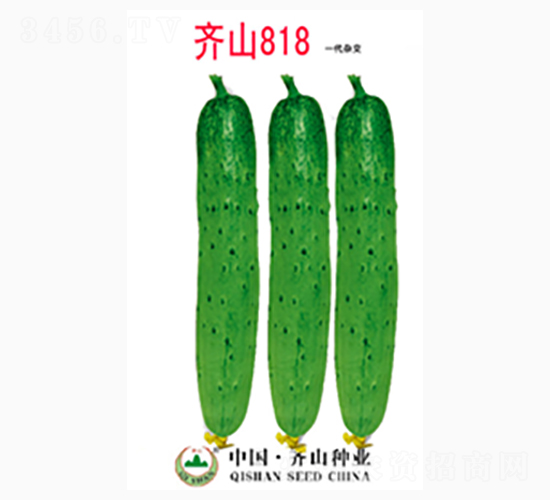 �Rɽ818-�Rɽ�N�I(y��)