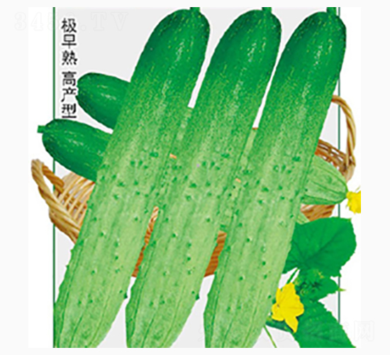 ����-�Rɽ�N�I(y��)